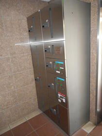 15/17 その他画像