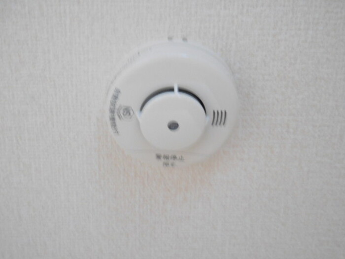 13/17 その他画像