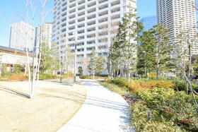 15/19 その他画像