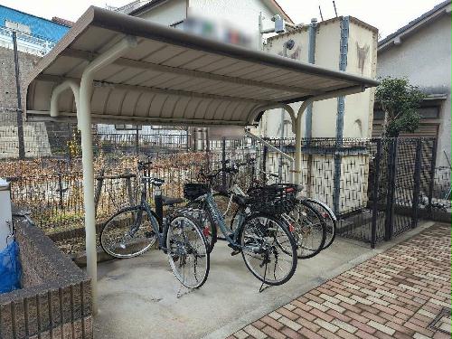 5/11 その他画像