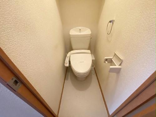 8/22 その他画像