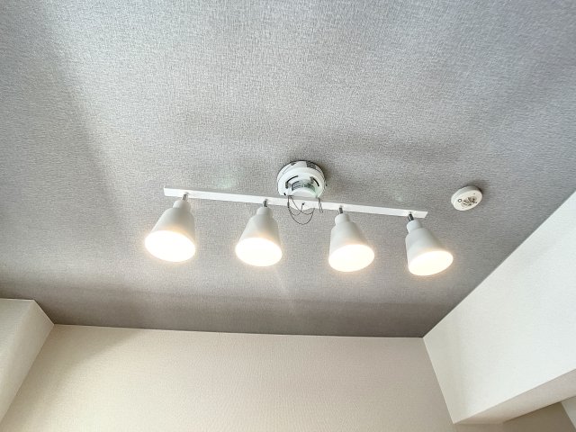 19/26 その他画像