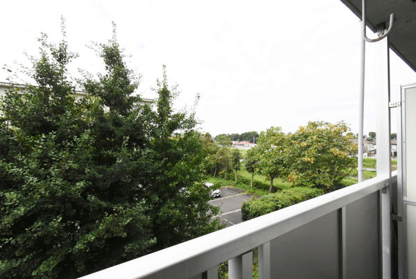 13/24 その他画像