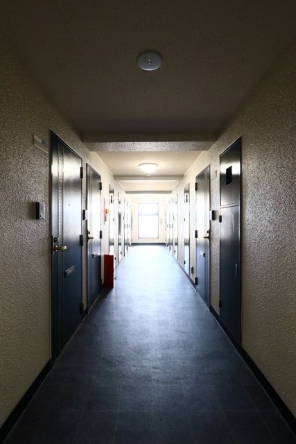 15/25 その他画像