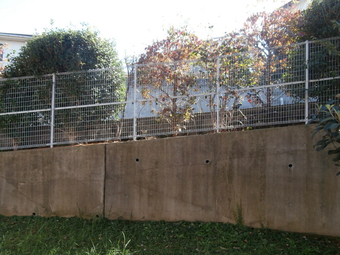 16/20 その他画像