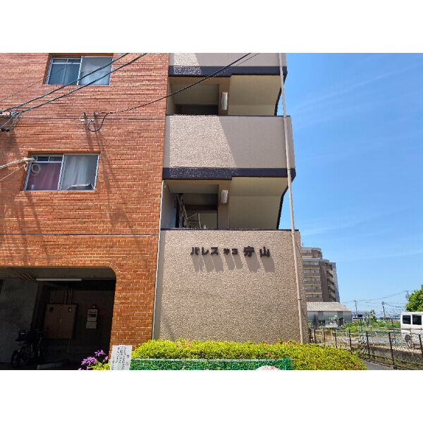 14/19 その他画像