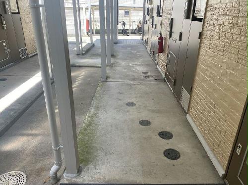 5/16 その他画像