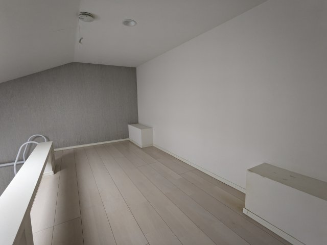 17/24 その他画像