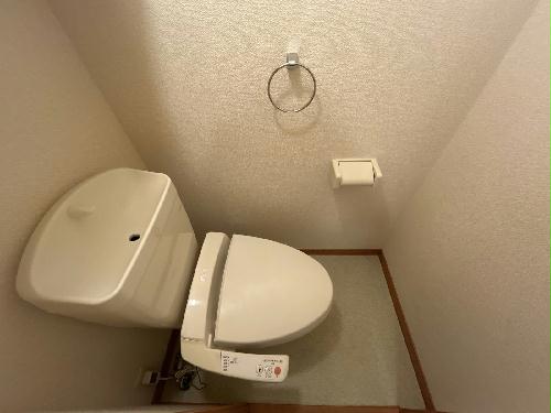 8/15 その他画像