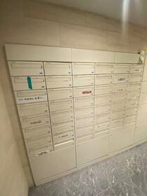 15/16 その他画像