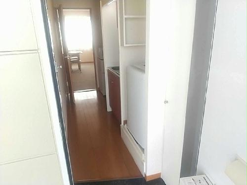 11/16 その他画像