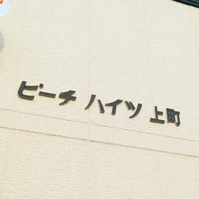 3/16 その他画像