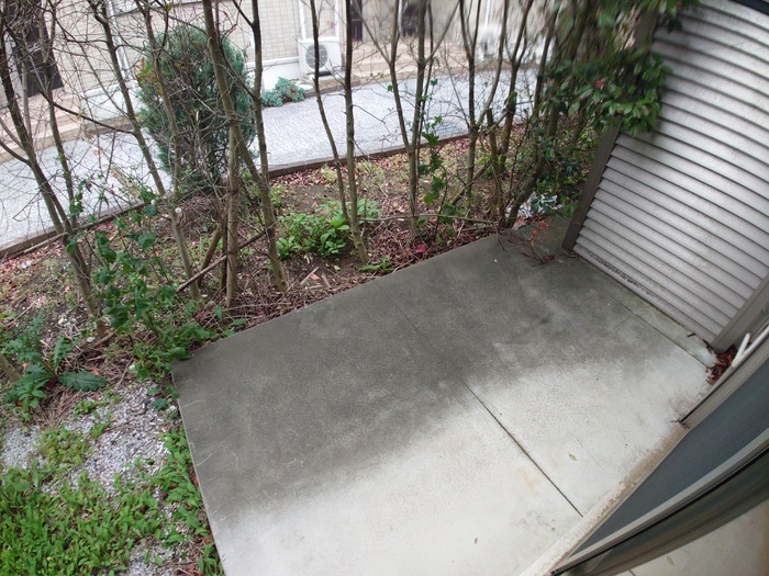 8/11 その他画像