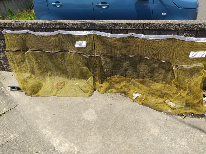 12/13 その他画像