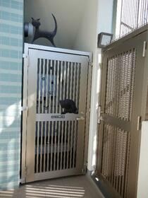 15/17 その他画像