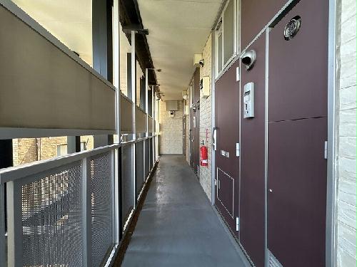 11/14 その他画像