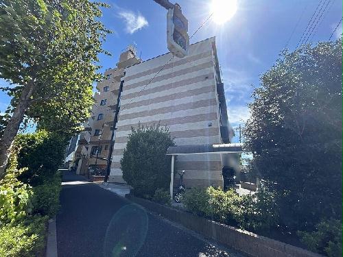 8/14 その他画像