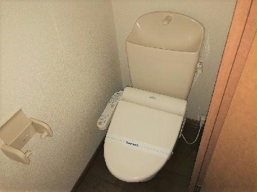 7/12 その他画像