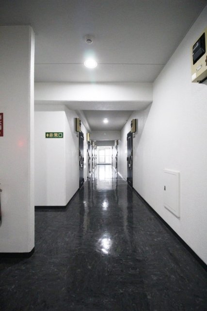 15/19 その他画像