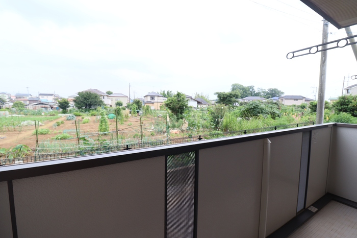 17/19 その他画像