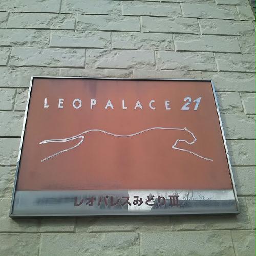 8/14 その他画像