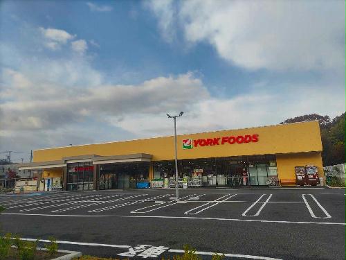 11/14 その他画像