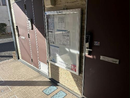 4/11 その他画像