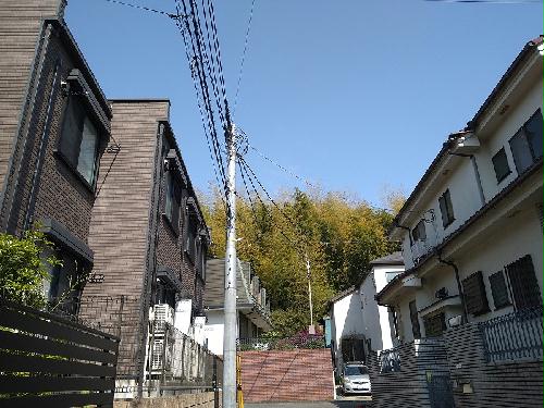 9/19 その他画像