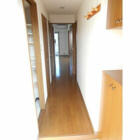 8/15 その他画像