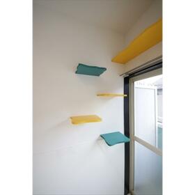 8/16 その他画像