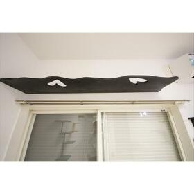 5/16 その他画像