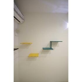 6/16 その他画像