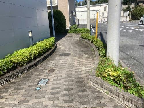 11/14 その他画像