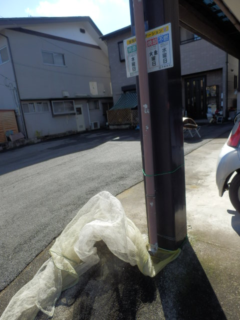 17/28 その他画像