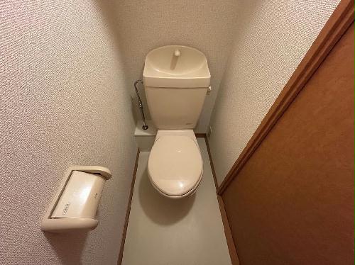 8/14 その他画像