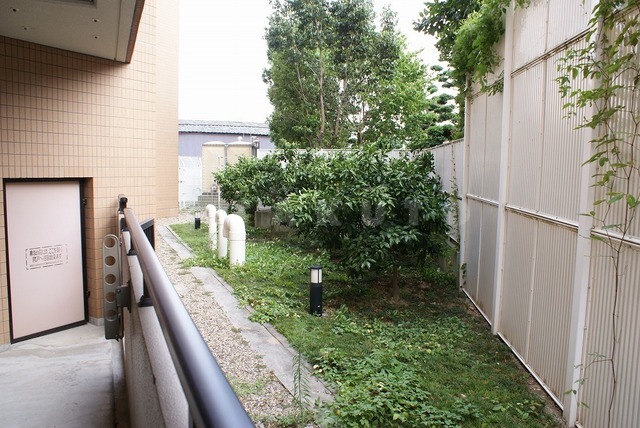 17/28 その他画像