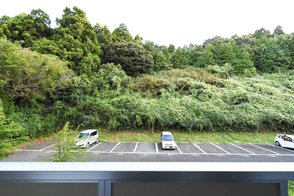 13/16 その他画像