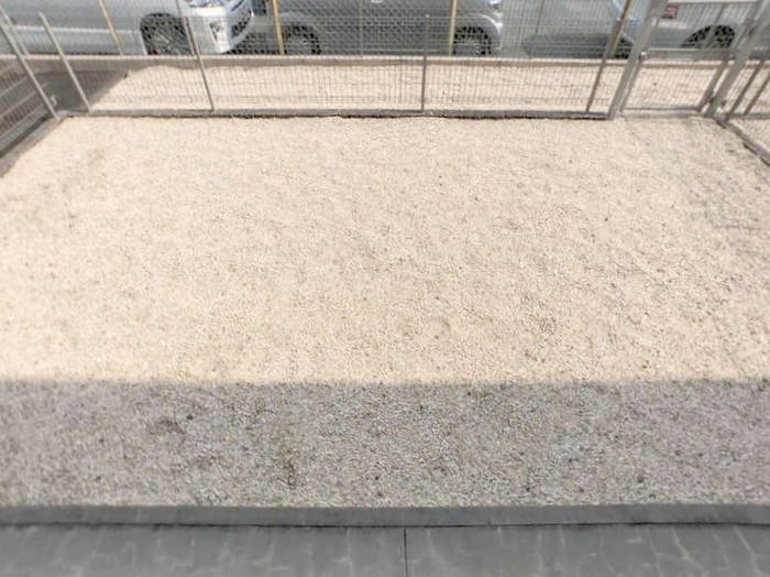 19/24 その他画像