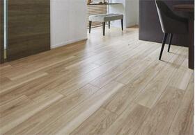 5/8 リビング/ダイニング