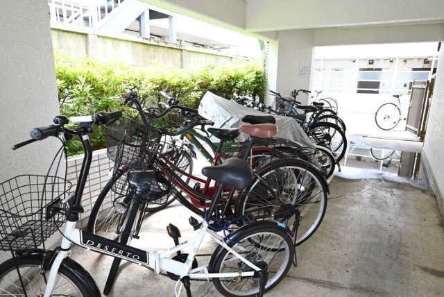 3/16 その他画像