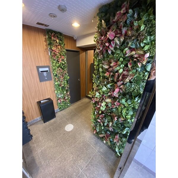 7/17 その他画像