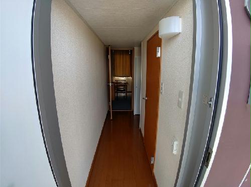 8/20 その他画像