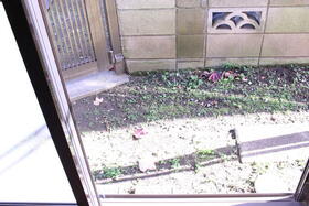 11/14 バルコニー