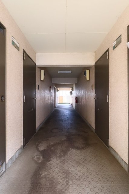 8/12 その他画像