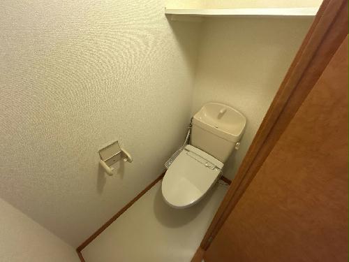 8/14 その他画像