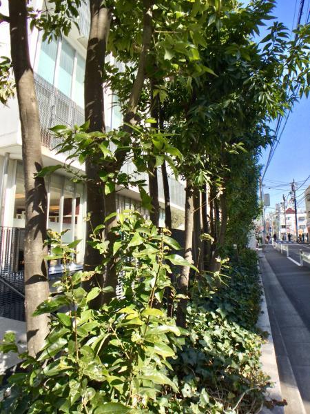 24/27 その他画像