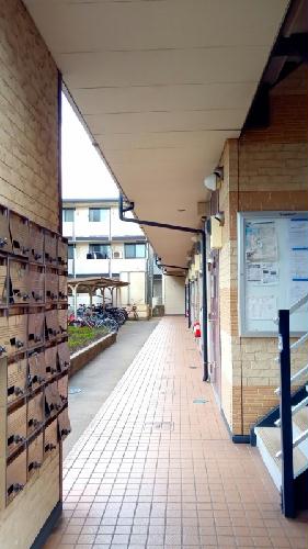 11/14 その他画像