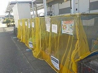 13/22 その他画像