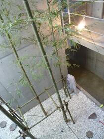 8/16 その他画像