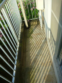 7/12 その他画像